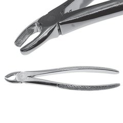 Extraction forceps to remove incisors of the upper jaw