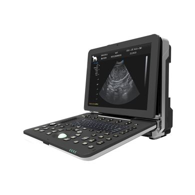 Dawei P8 doppler ultrasound, veterinary with microconvex, phasing and line sensors