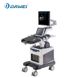 T6, ultrasound doppler, veterinary. Dawei