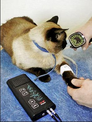 VET BP Doppler  with one Blood pressure Probe 8Mhz ( ref.SON167)