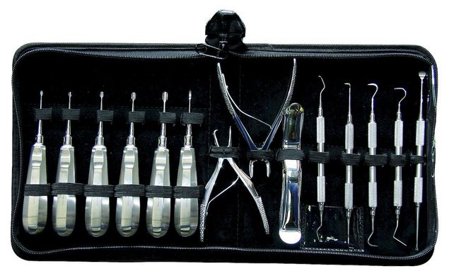 Dental veterinary set - standard handles, 14 pieces
