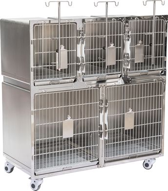 Veterinary cage for five sections made of stainless steel