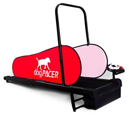 Вog running track DogPACER