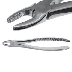 Extraction forceps to remove incisors and canines of the upper jaw