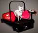 Treadmill Mini dogPACER