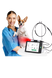 Ветеринарна діодна лазерна система CHEESE PLUS+Хірургія (635 нм / 980 нм, Android-консоль, портативна)
