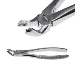 Extraction forceps to remove the third molar of the lower jaw
