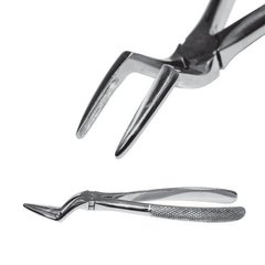 Extraction forceps, English model