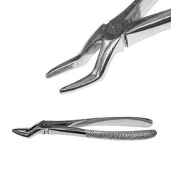 Extraction forceps to remove upper roots