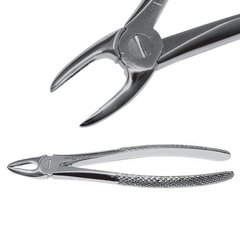 Extraction forceps to remove the roots of the upper jaw incisors