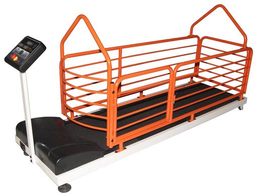 TIGERS TIGPJ-605 treadmill for medium and large breeds of dogs