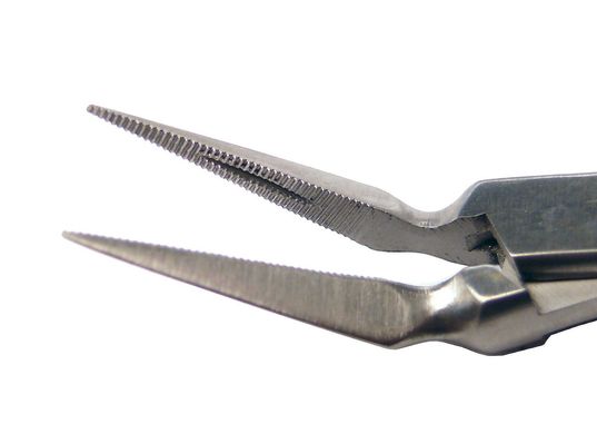 Forceps for extracting fragments