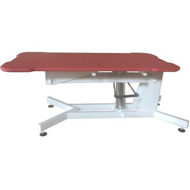 Professional table for grooming TIGERS Profi Z-Pro with hydraulic lift + tripod with shadow-free illumination Голубой