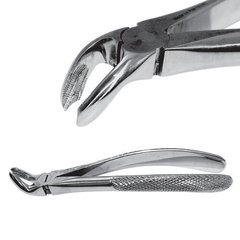 Extraction forceps to remove left upper jaw molars