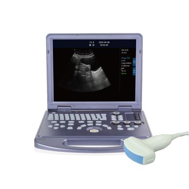 DAWEI MU15 vet ultrasound veterinary device with pulse doppler and microconvex sensor