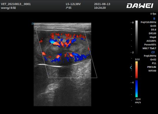 Dawei L6 pro, doppler ultrasound, veterinary with microconvex and linear sensors