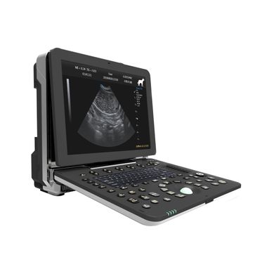 Dawei P50 vet, doppler ultrasound, veterinary with microconvex and linear sensors