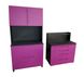Cabinet for storing gallons, cosmetics and accessories in the grooming salon, Tigers Elite