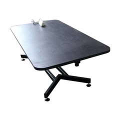Професійний стіл для грумінгу TIGERS Profi Z-Pro з електричним підйомником + штатив з безтіньовим підсвічуванням Черный