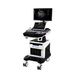 Dawei T5, doppler ultrasound, veterinary with microconvex and linear sensors