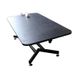 Professional table for grooming TIGERS Profi Z-Pro with electric lift + tripod with a no-light backlight Черный