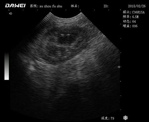 MU12, ultrasound machine, veterinary. Dawei