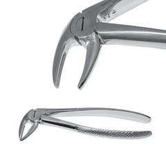 Extraction forceps with medium jaws to remove the lower roots